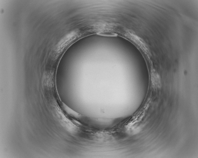 X0000059040105200510281552