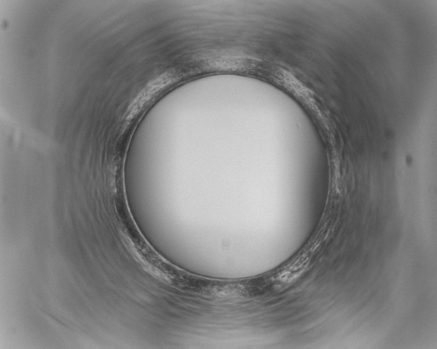 X0000059040106200510281552