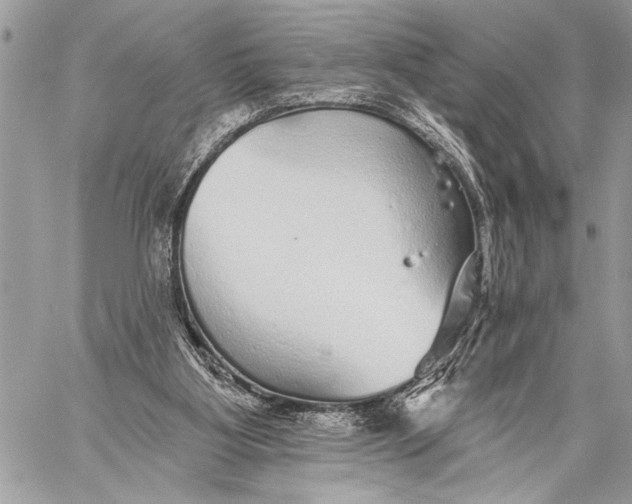 X0000059040107200510281552