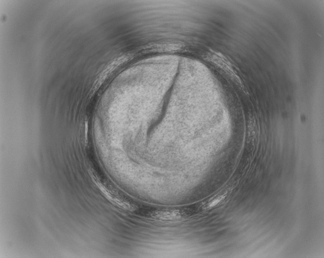 X0000059040110200510281552