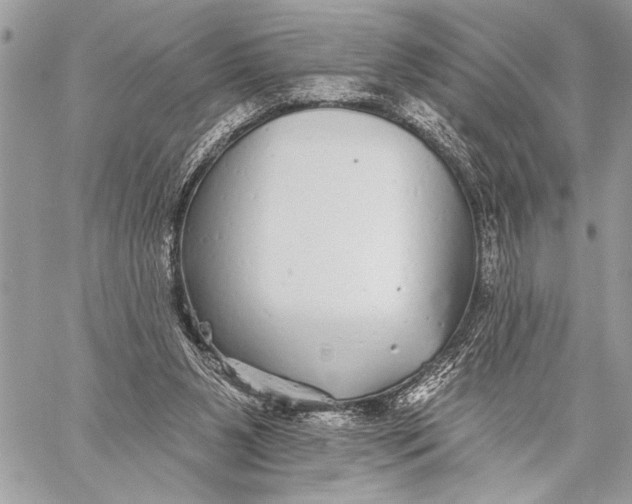 X0000059040111200510281552