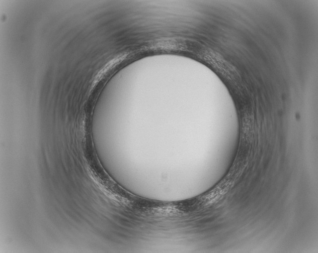 X0000059040112200510281552