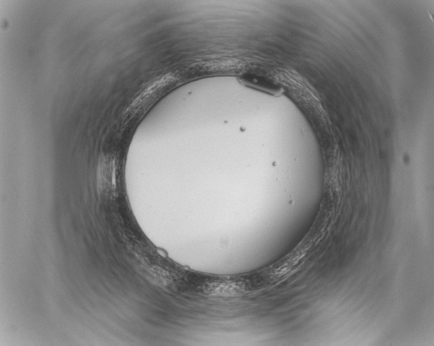 X0000059040115200510281552