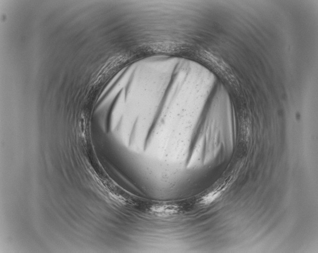 X0000059040117200510281552