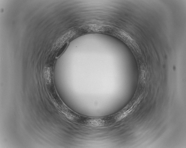 X0000059040121200510281552