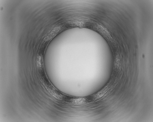 X0000059040122200510281552