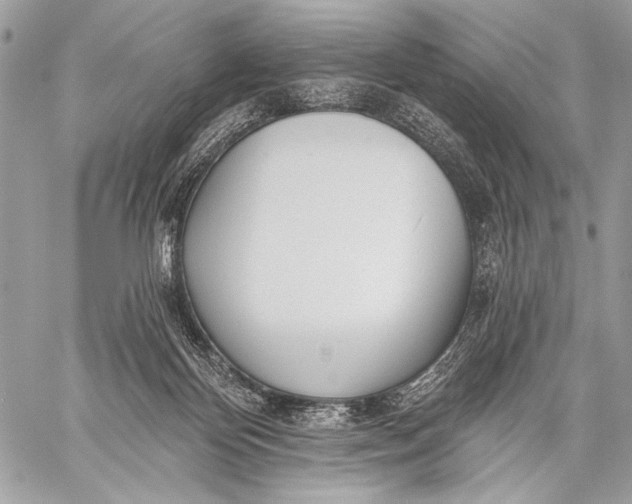 X0000059040124200510281552