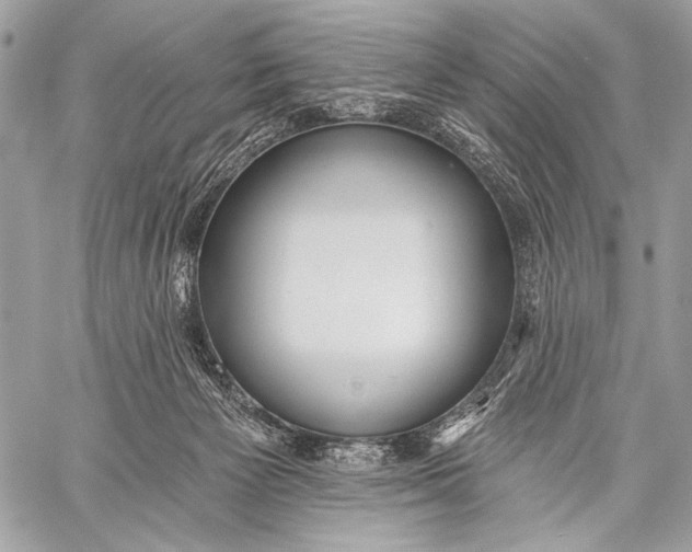 X0000059040125200510281552