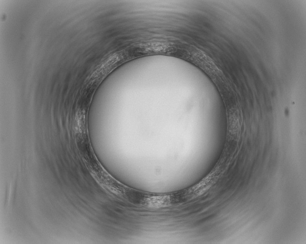 X0000059040126200510281552