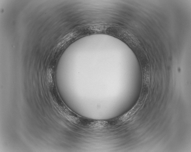 X0000059040128200510281552