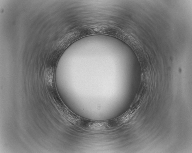 X0000059040129200510281552