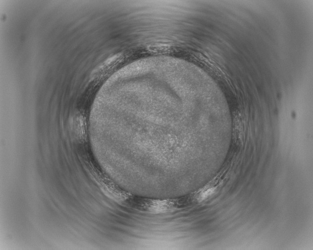 X0000059040130200510281552