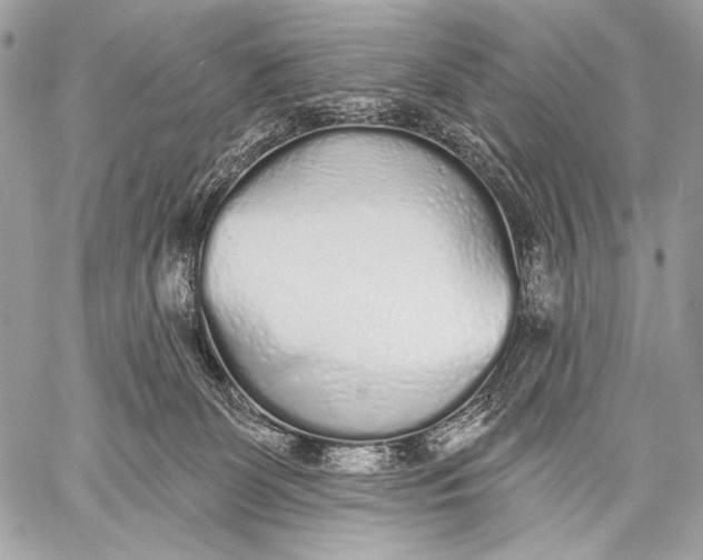 X0000059040131200510281552