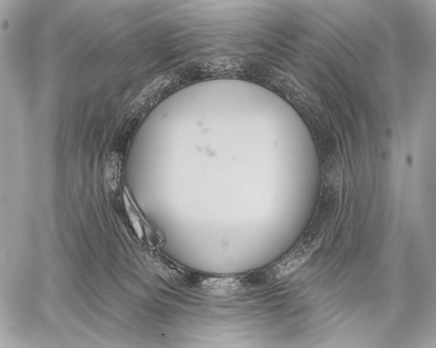 X0000059040133200510281552