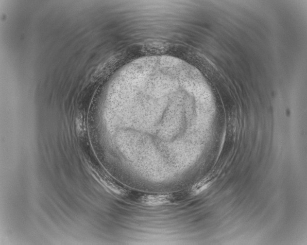 X0000059040134200510281552