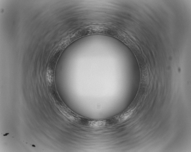 X0000059040135200510281552