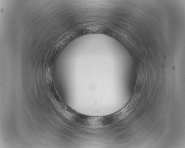 X0000059040136200510281552