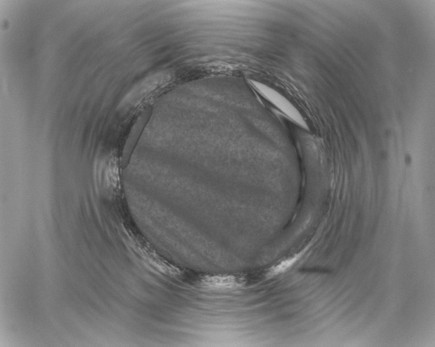 X0000059040137200510281551