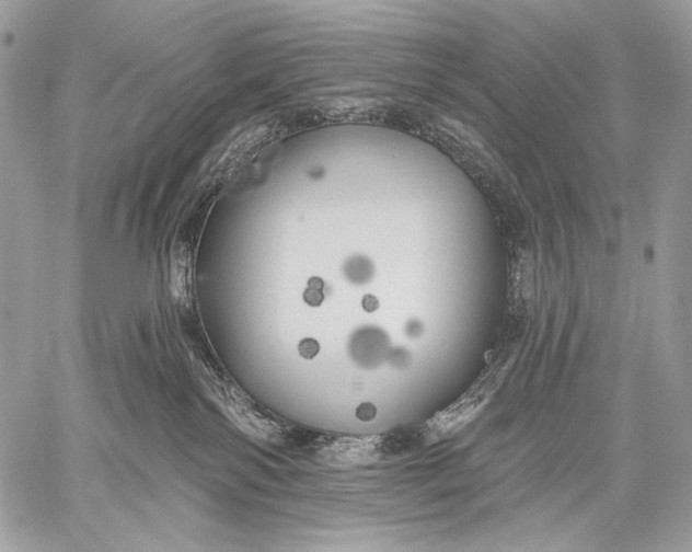 X0000059040138200510281551