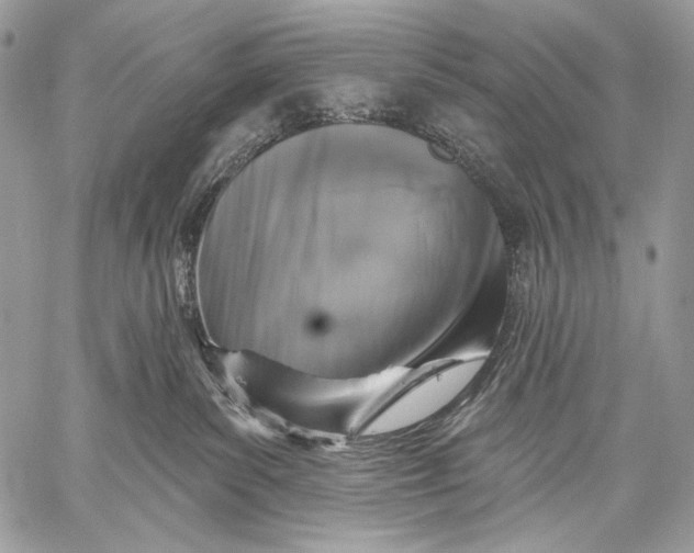 X0000059040139200510281551