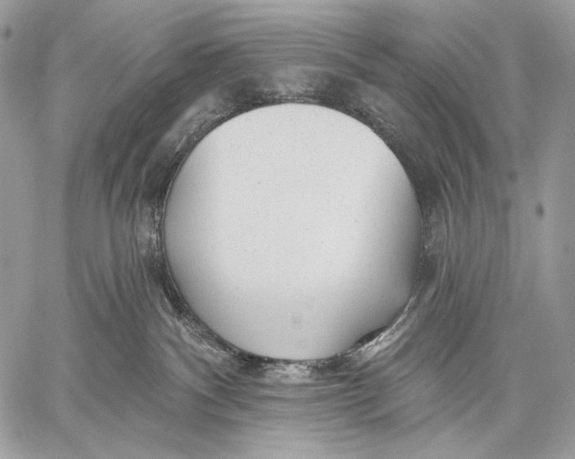 X0000059040140200510281551