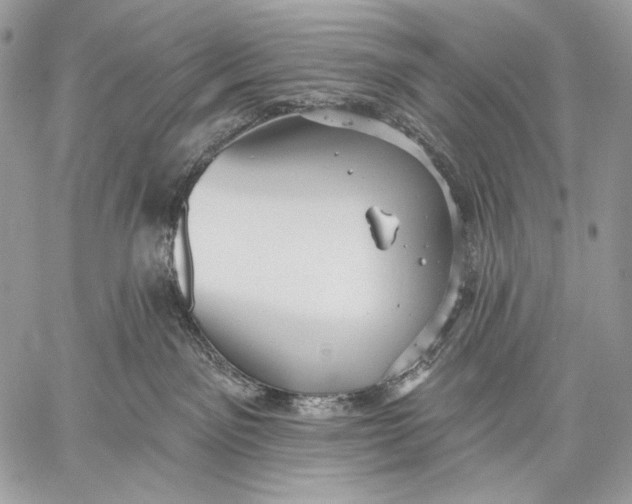 X0000059040141200510281551