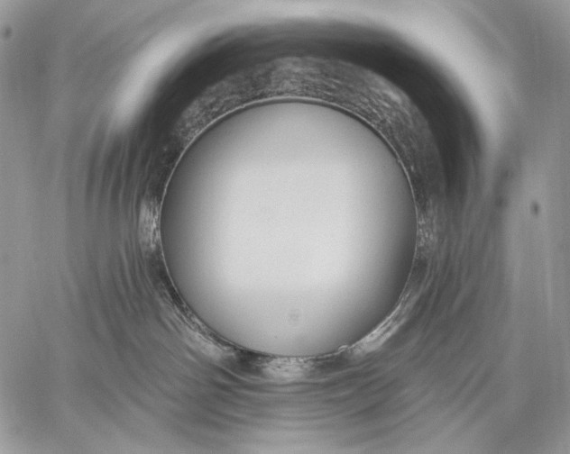 X0000059040142200510281551