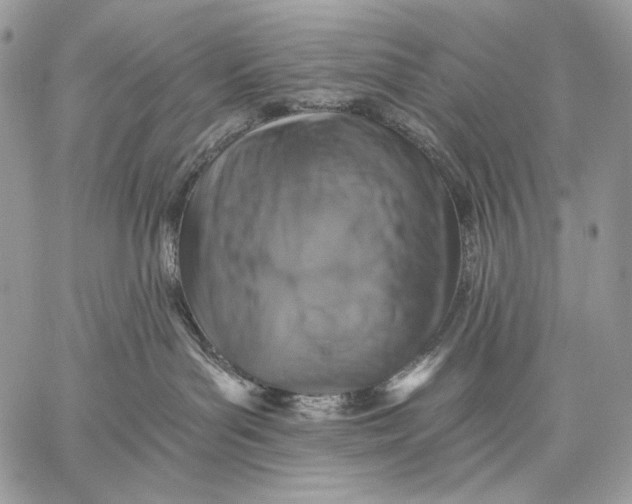 X0000059040143200510281551