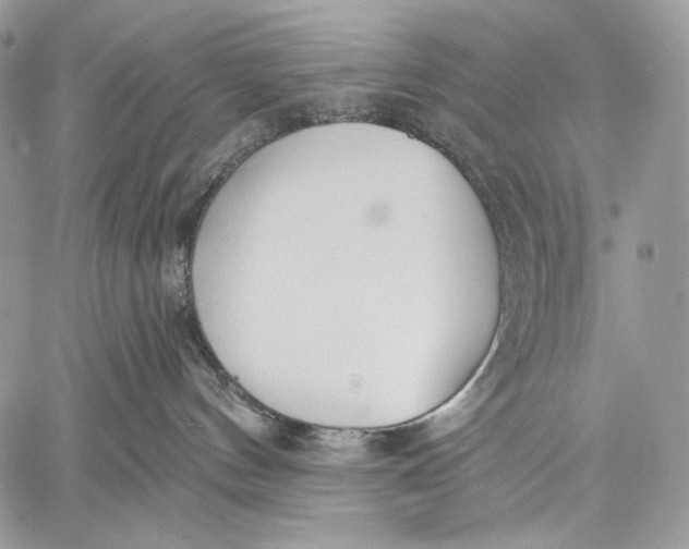 X0000059040144200510281551