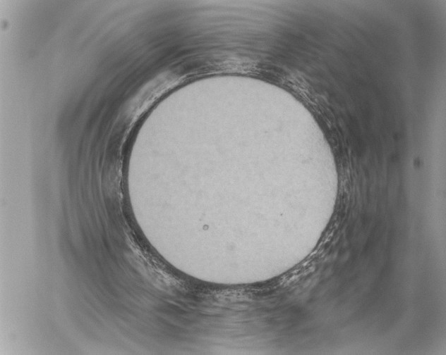 X0000059040146200510281551