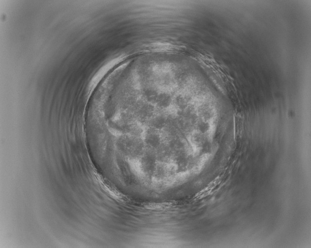 X0000059040147200510281551