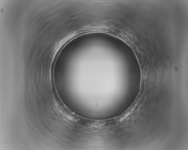 X0000059040148200510281551