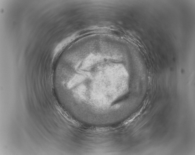 X0000059040149200510281551