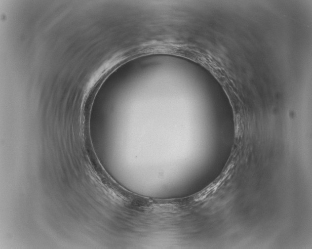 X0000059040150200510281551