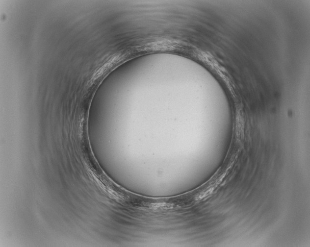 X0000059040153200510281551