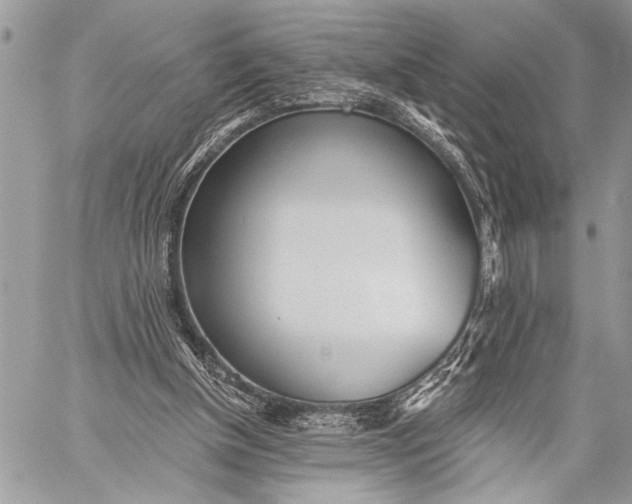 X0000059040154200510281551