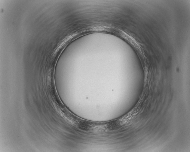 X0000059040155200510281551