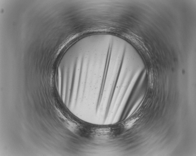 X0000059040156200510281551