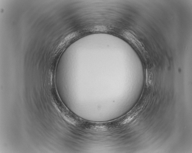 X0000059040157200510281551