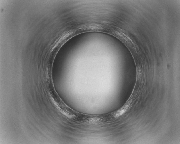 X0000059040158200510281551