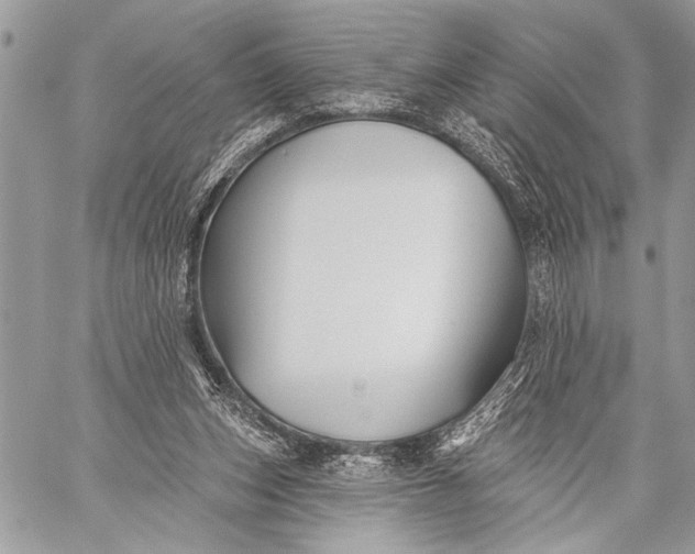 X0000059040159200510281551