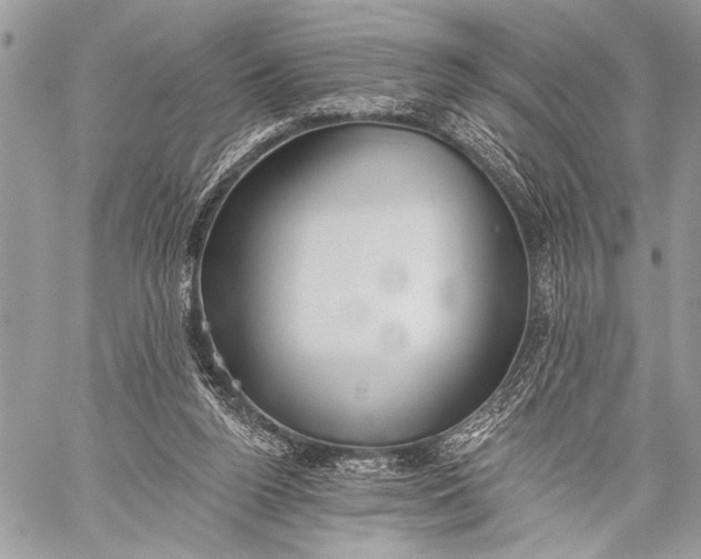 X0000059040160200510281551