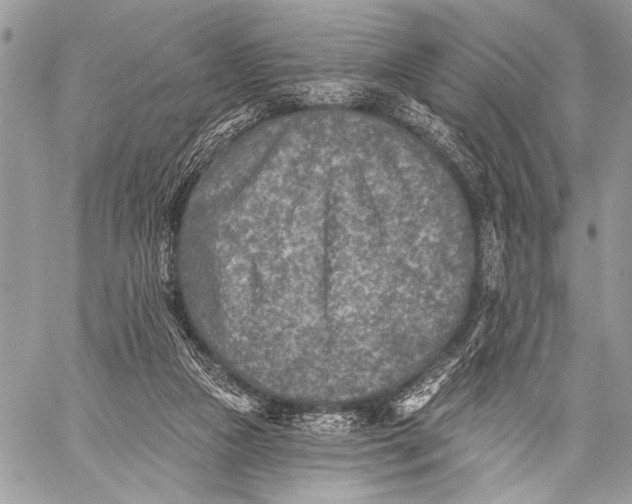 X0000059040161200510281551