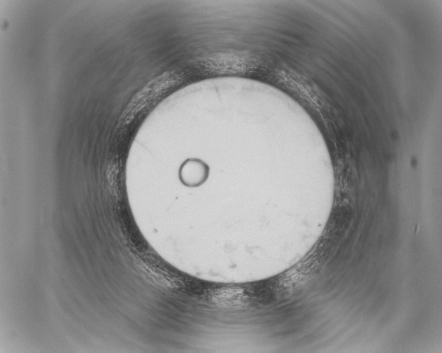 X0000059040162200510281551