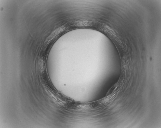 X0000059040164200510281551