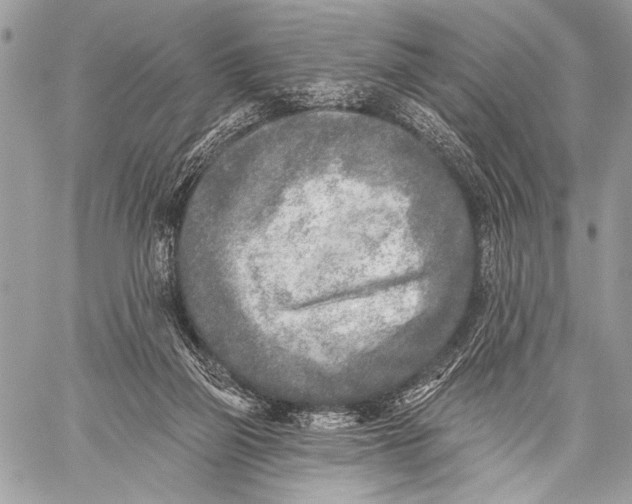 X0000059040165200510281551