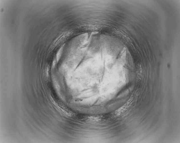 X0000059040166200510281551