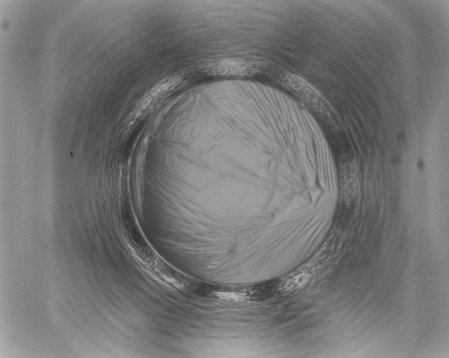 X0000059040167200510281551