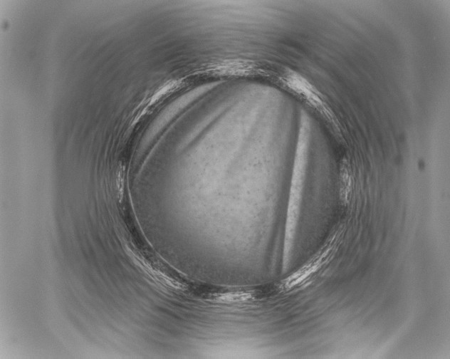 X0000059040168200510281551