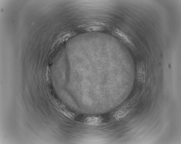 X0000059040169200510281551